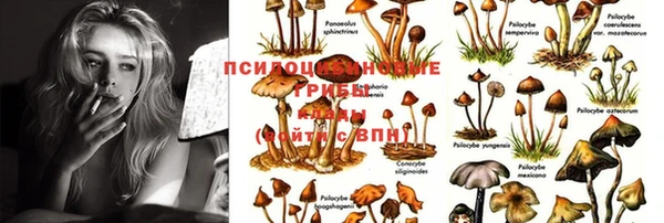 каннабис Балабаново